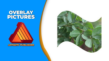 How to overlay pictures in affinity publisher