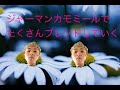 ジャーマンカモミールでたくさんブレンドしていく