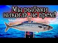 Морская рыбалка в Новороссийске.