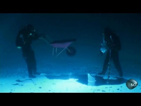 Unbelievable! What Bossassbubbles REALLY Hid