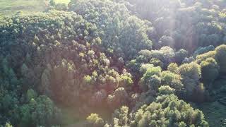 Sundown in the Forest of Dean DJI Spark footage