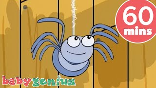 Itsy Bitsy Spider Song   More Nursery Rhymes & Kids Songs | Baby Genius