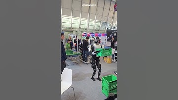 AI Robots Playing Soccer Will Blow Your Mind ⚽🤖