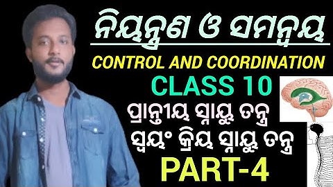 Control and Coordination Class 10 Biology Chapter-5 in Odia || Nervous System