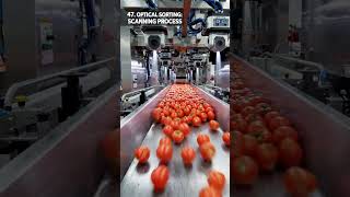 Optical sorting high speed digit… #manufacturing FactorySystems #Engineering #shorts #reels #food