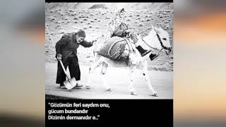 Gözümün Feri...