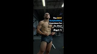 BEST Bodybuilding Exercise For Jiu Jitsu Pt. 1 // The BJJ Strength Coach