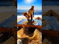 Cinematic Underground Bunker Construction | Mountain Backyard Full Timelapse #CinematicTimelapse