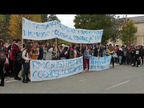 Protest la Liceul Odobleja3