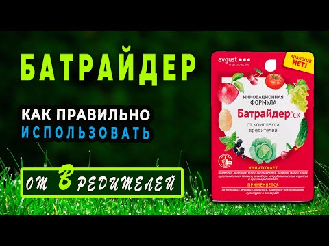 Видео: Защита опылителей: распространенные хищники и способы использования пестицидов