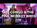 Capture de la vidéo Kid Congo & The Pink Monkey Birds - Sex Beat