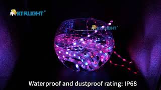 DC5V/12V 1000 Pixels WS2811 LED Seed Pixel String Light RGB IC