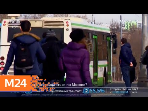 "Жизнь в большом городе": общественный транспорт - Москва 24