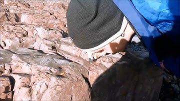 How to produce a sedimentary log in the field