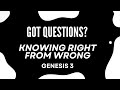 4/21/2024 - Gen 3: Knowing Right from Wrong?