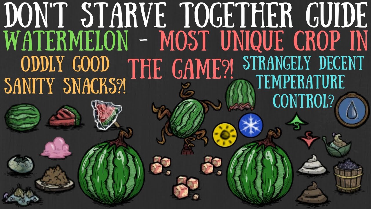 Don't Starve Together Guide: Watermelon - Most Unique Crops?! - Giants, Nutrients & More