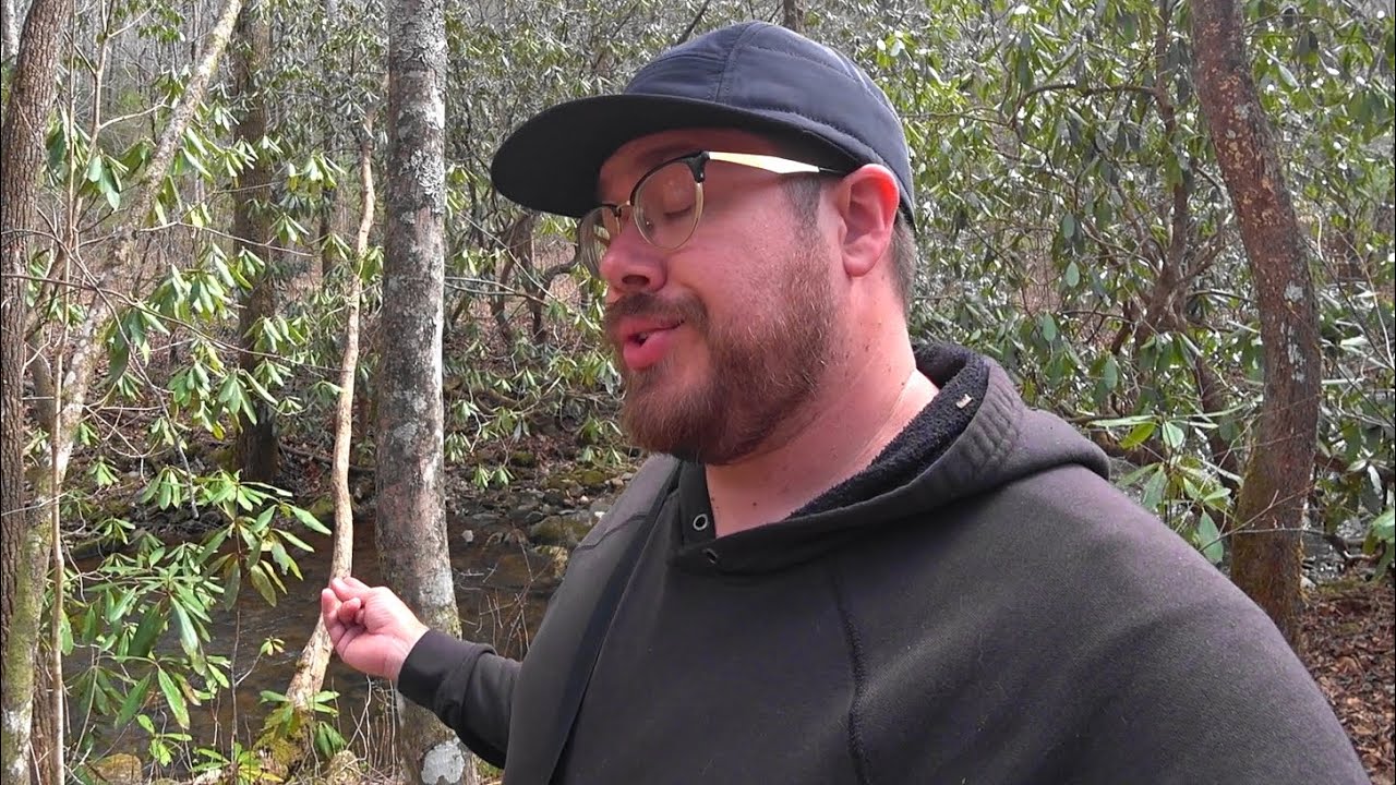 North Georgia Tenkara : Mill Creek (Swallow Creek WMA)