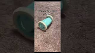 Celebrity Clocky can do what?... Profile