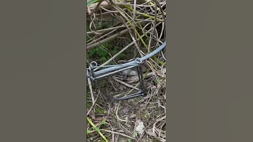 bẫy chuột vùng cao 👍#xuhuong #uoclenxuhuong #xuhuongtiktok #ngườivùngcao