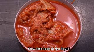 Kimchi under the microscope