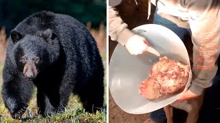 Парень избил огромного медведя, чтобы спасти собаку! Он и подумать не мог, КАК отреагируют люди...