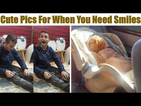 Wholesome and Cute Pics For When You Need Smiles