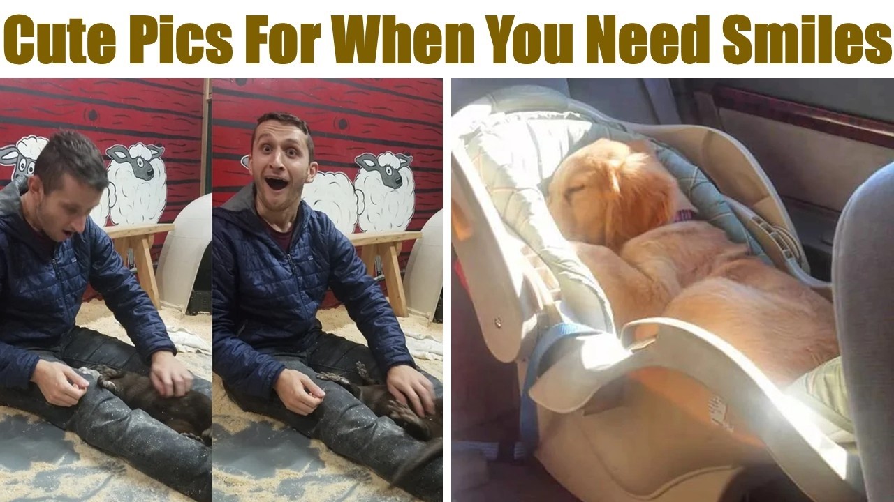 Wholesome and Cute Pics For When You Need Smiles
