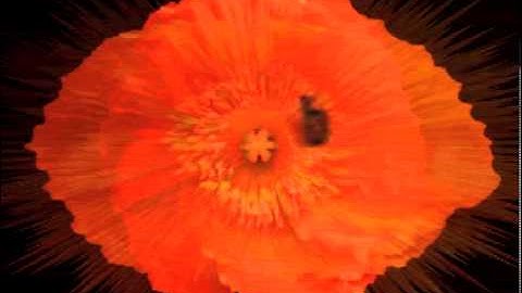 20121120 {designtoolbox} Motion Graphics Reel