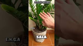 🧿🏡 Place this in your #home and block #envy and #negativity