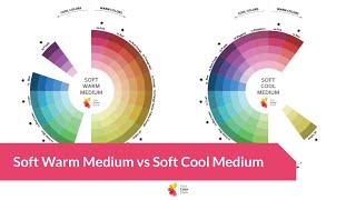 Soft Warm Medium vs Soft Cool Medium screenshot 4