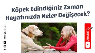 Köpek Edindiğiniz Zaman Hayatınızda Neler Değişecek?