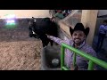 Recorrido Por Rancho La Misión De Hugo Figueroa.video Inedito Segunda Parte.