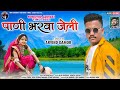 Arvind damor      new nonstop adivasi timli 2022  pani bharwa jeli  new dj timli