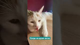 Когда на душе легко- мечты сбываются !!!