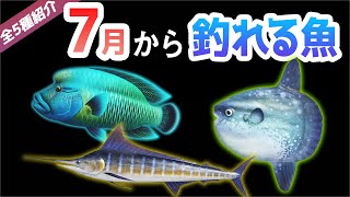 7月の魚 あつまれどうぶつの森 【あつ森】7月のイベントと北半球でやるべきこと