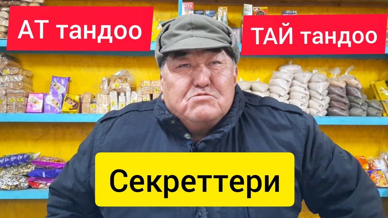 АТ тандоо ~ ТАЙ тандоонун секреттери