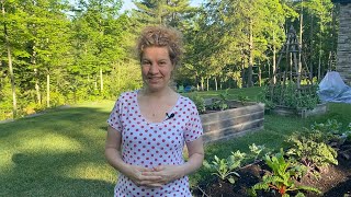 Comment avoir fleur femelle concombre ?