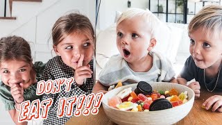 Twins DON'T Touch It DON'T Eat It CHALLENGE On Their Brothers by The Fishfam 83,259 views 6 months ago 18 minutes