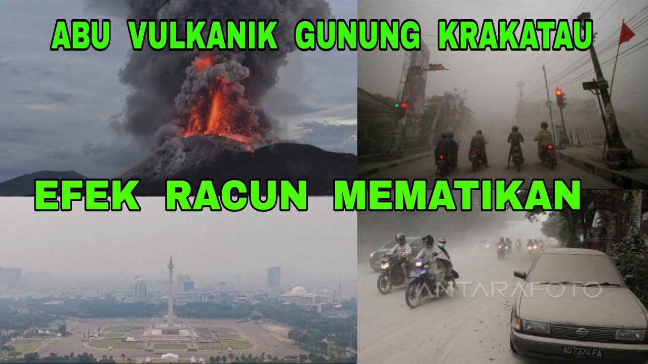 Original Title & Thumbnail