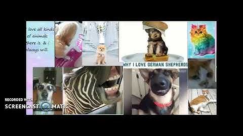 Welcome to my Channel!!