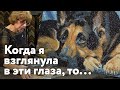 Накопилось столько интересных тем и новостей! Обсуждаем всё подряд и создаём новогодние подарки!