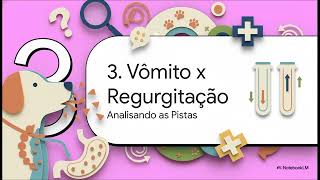Semiologia do Sistema Digestório (Resumão)