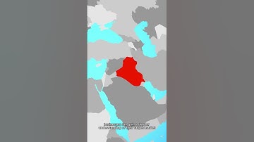 Driving Market Research with IP Geolocation Insights