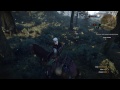 The immortal rabbit - The Witcher 3