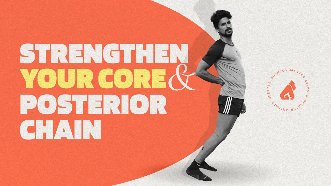 Выпрямление задней цепи и корпуса | Упражнения для уменьшения боли в спине