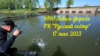 #190 Ловим форель РК &quot;Русский осётр&quot; 17 мая 2023