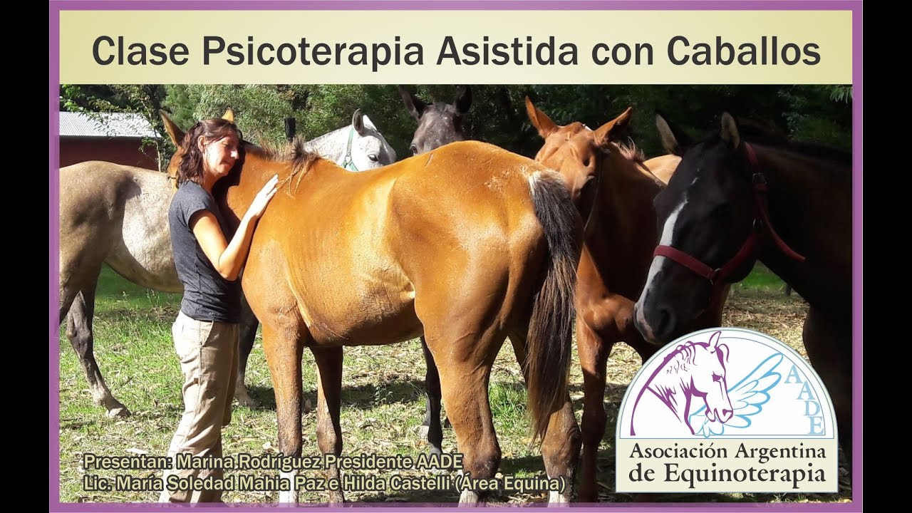 Clase Psicoterapia Asistida con caballos AADE YouTube Clase Psicoterapia Asistida con caballos AADE YouTube