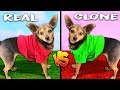 We Cloned our Dogs and Didn't Expect This! (Real Dog Vs. Clone)