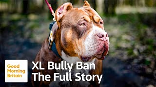 XL Bully Ban: The Full Story