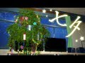 【七夕】短冊に願いをこめて #012